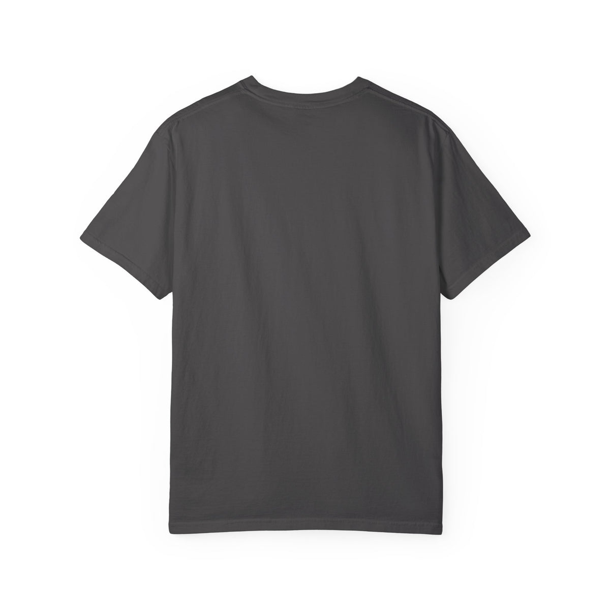Organized-ish — Dark Colors Comfort Colors Tee